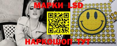 индика Можга