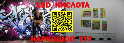 индика Можга