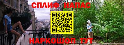 индика Можга