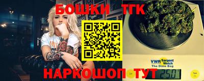 индика Можга