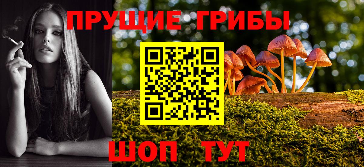 Галлюциногенные грибы Psilocybine cubensis Вятские Поляны