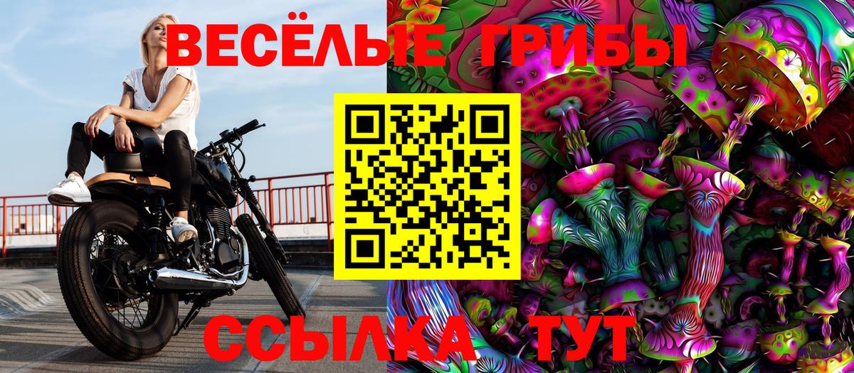Псилоцибиновые грибы мухоморы  Вход с VPN  Вятские Поляны 