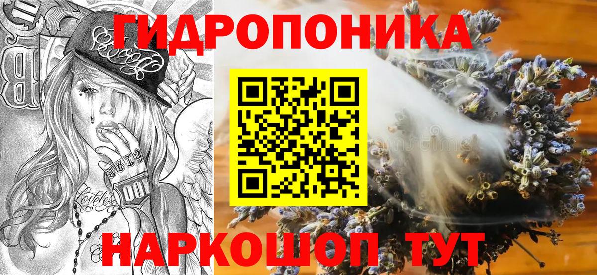 Канабис конопля  Вход с VPN  Вятские Поляны  Марихуана сатива 